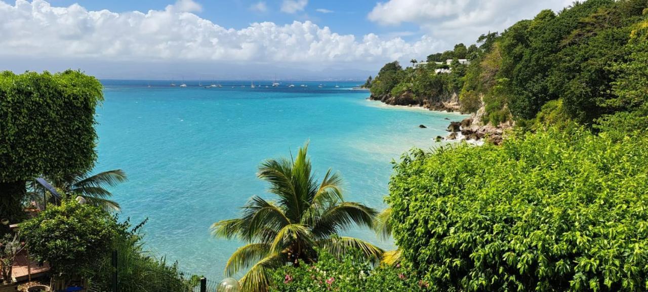 Vue Mer, Piscine, Appartement 4 Personnes Le Gosier  Eksteriør billede