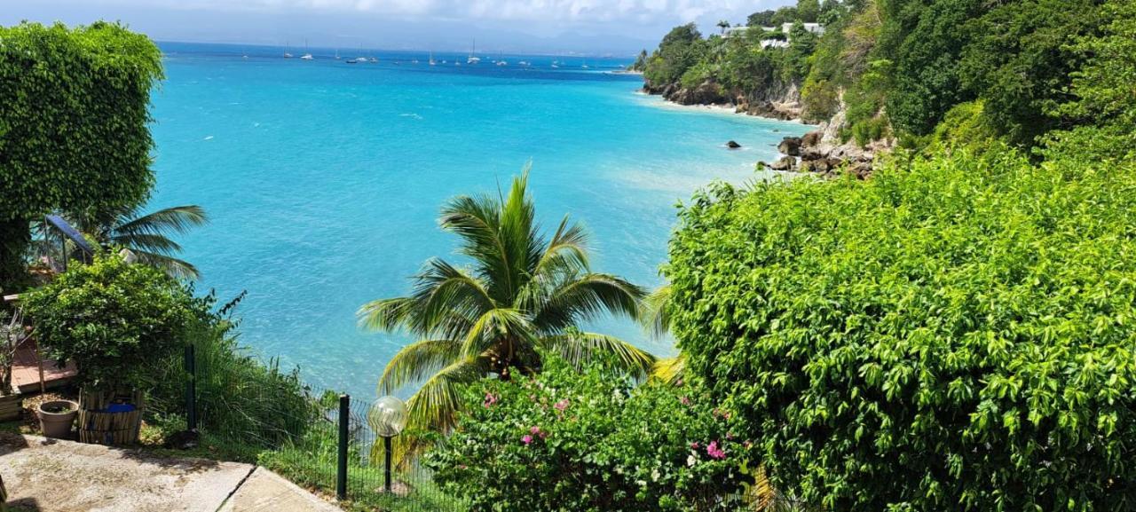 Vue Mer, Piscine, Appartement 4 Personnes Le Gosier  Eksteriør billede